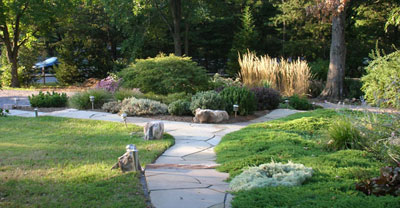 Landscape Design