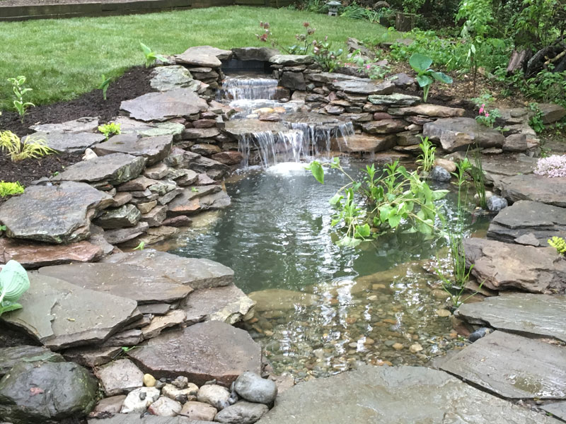 pond and waterfall